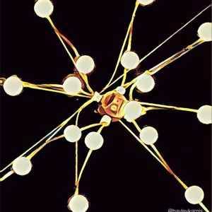 Meet your Posher, Hayley ann